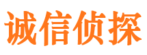 洛宁市调查公司